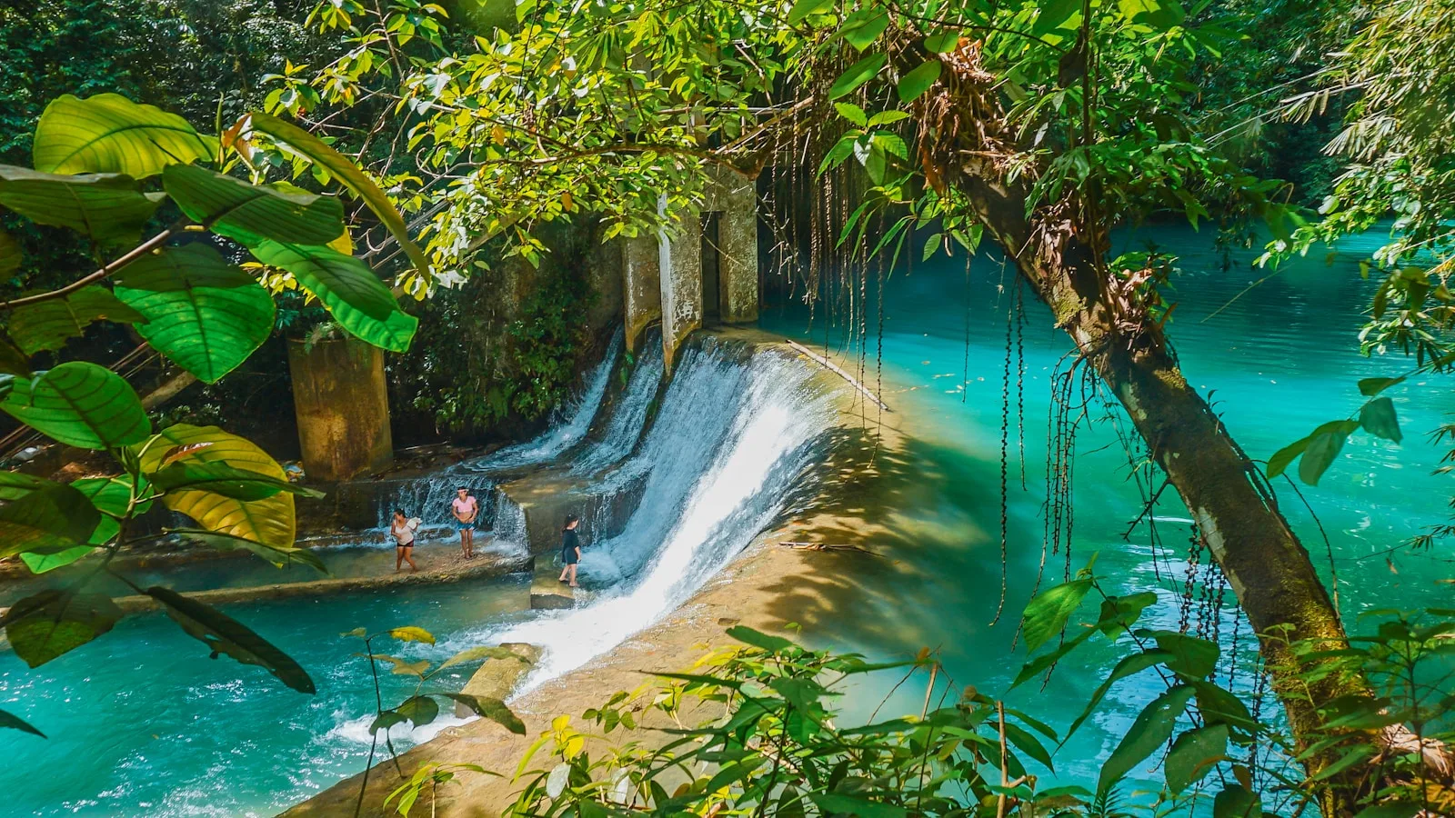 Cascade turquoise entourée de végétation tropicale luxuriante aux Philippines