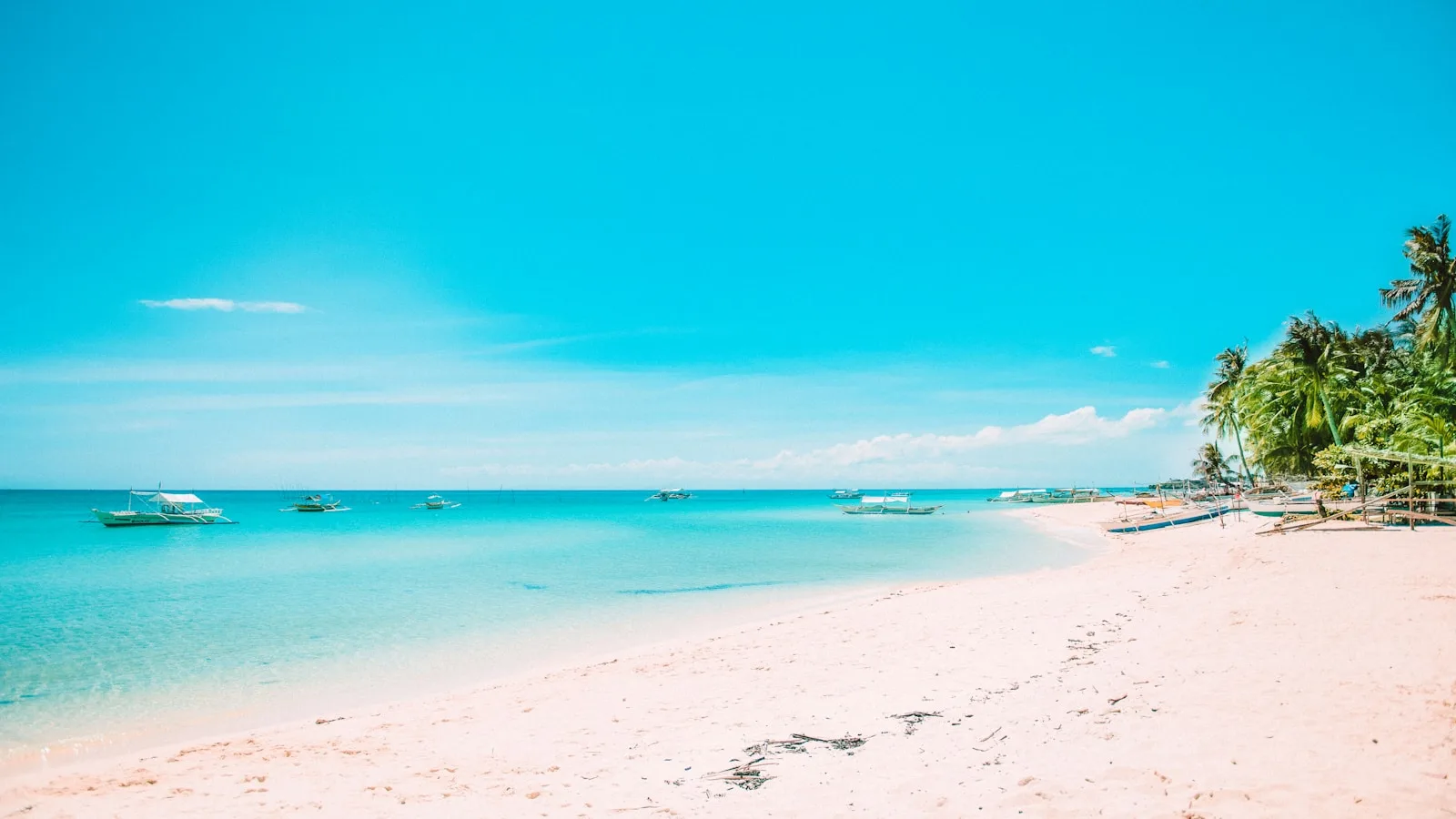 Eau turquoise et palmiers sur une plage des îles Visayas aux Philippines sous un ciel bleu