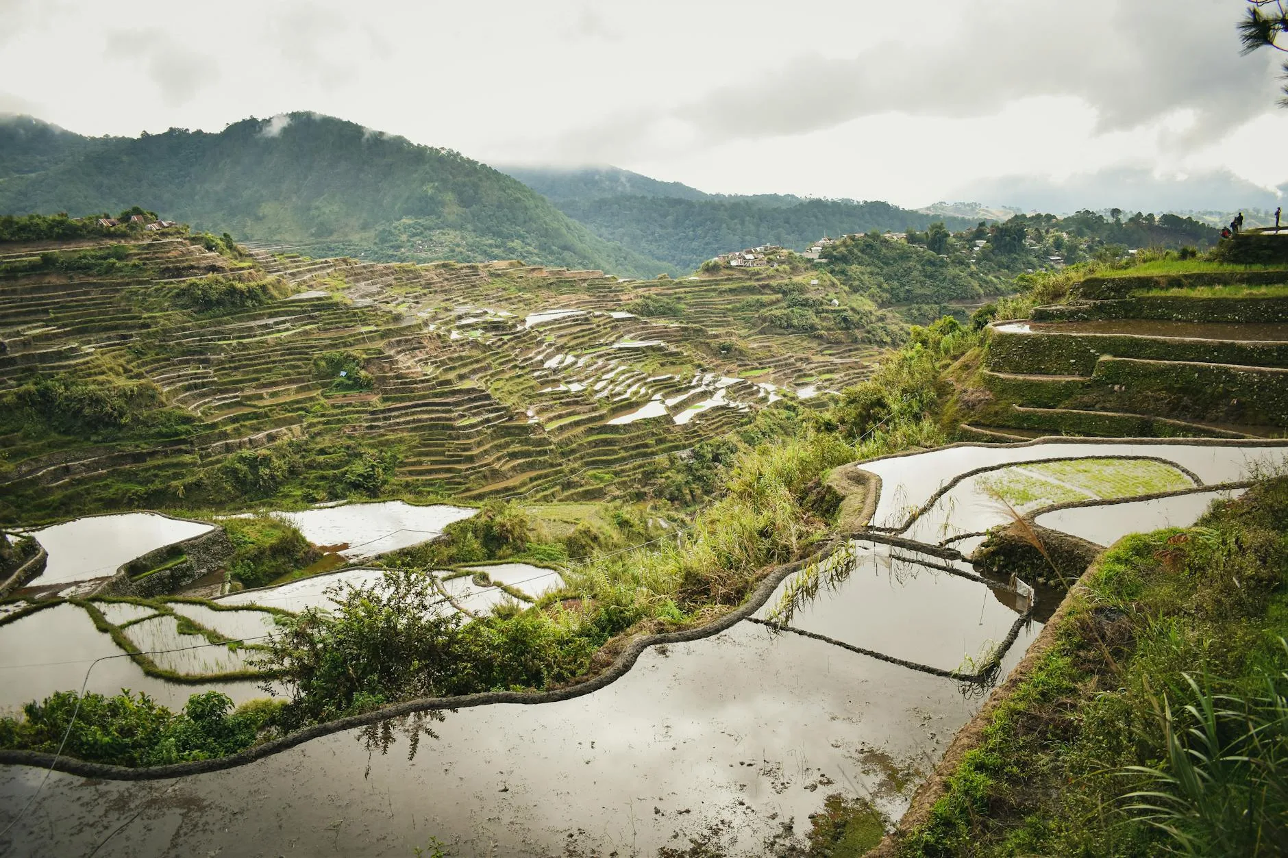 Randonnées autour de Banaue