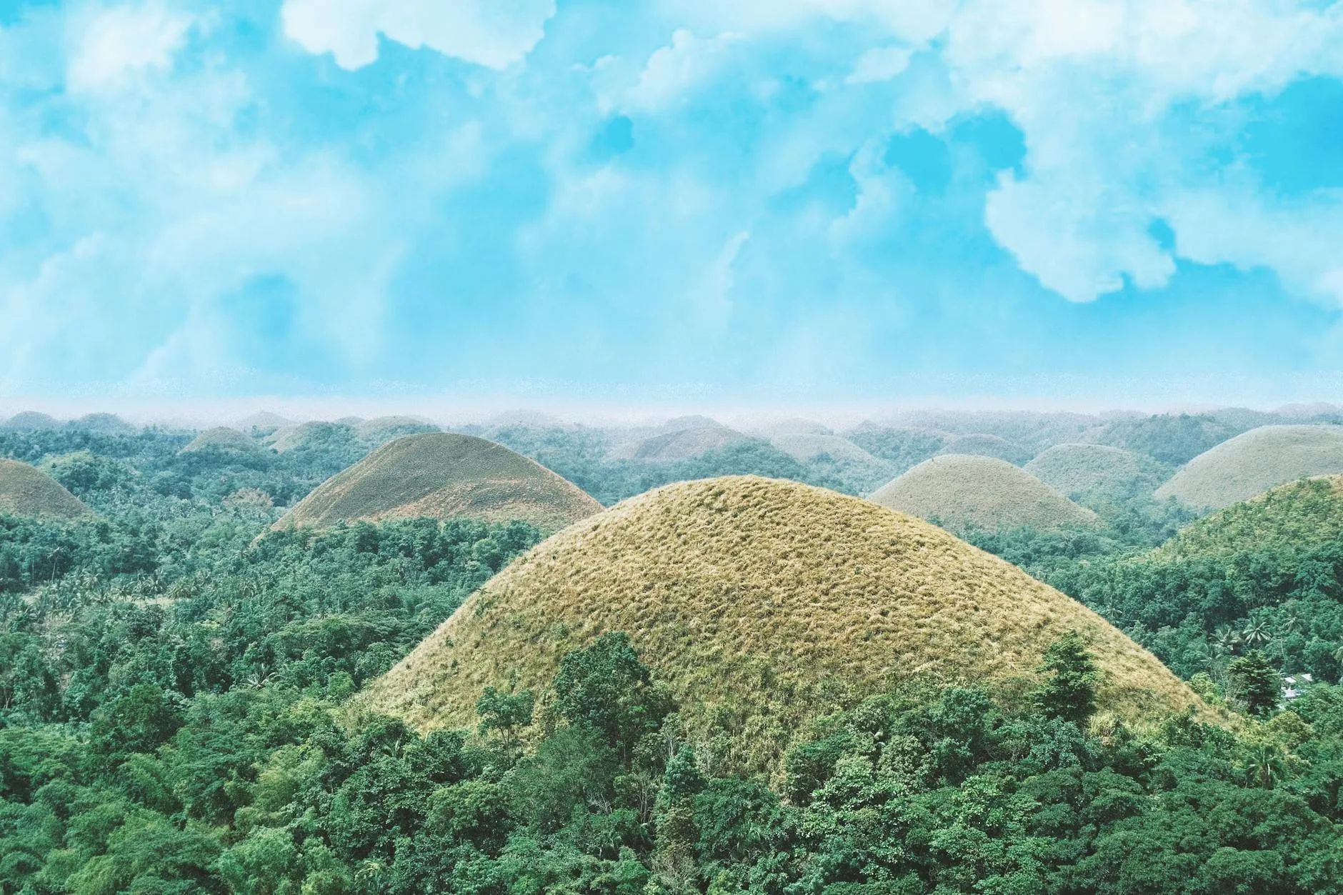 Les Chocolate Hills : le symbole de Bohol