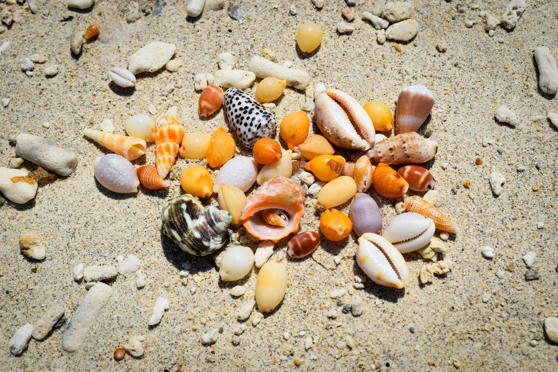 Puka Beach : l'antidote à White Beach