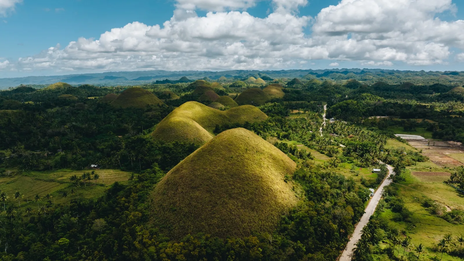Bohol : les Chocolate Hills, les tarsiers et la plongée de Panglao
